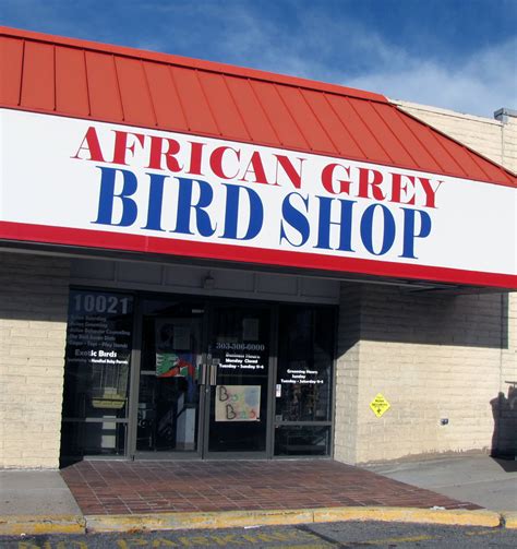 Bird shop - London Bird Shop. 824 likes · 1 talking about this. We are a Bird Shop that specialises in the selling of birds but we also focus providing bird food and treats, supplements, accessories, toys.... London Bird Shop